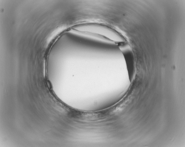 X0000088131171200705291325