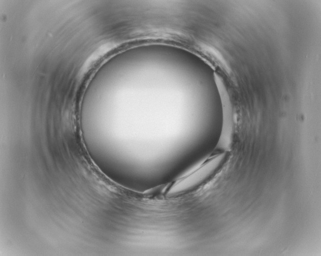 X0000088131172200705291325