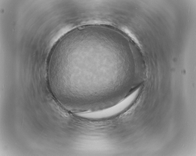 X0000088131173200705291325