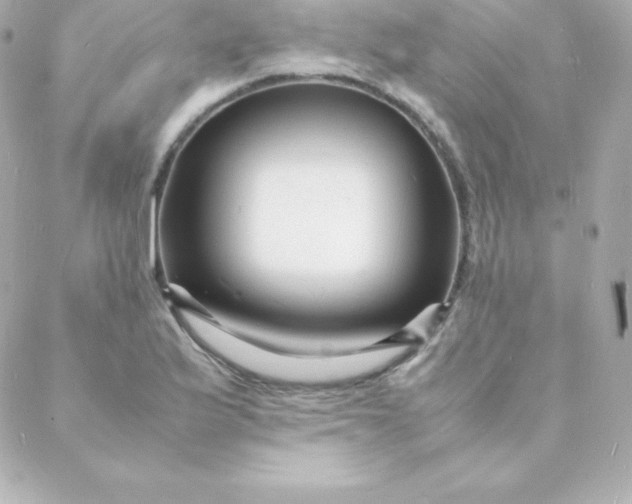 X0000088131175200705291325