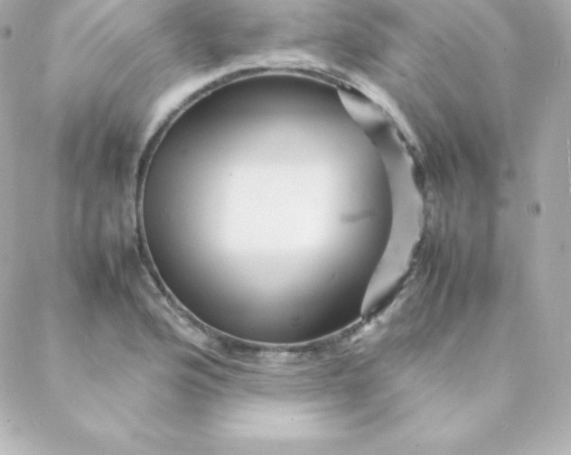 X0000088131176200705291325