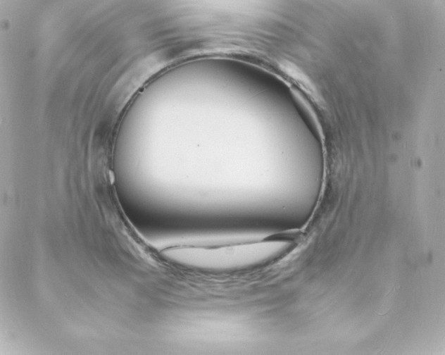 X0000088131177200705291325