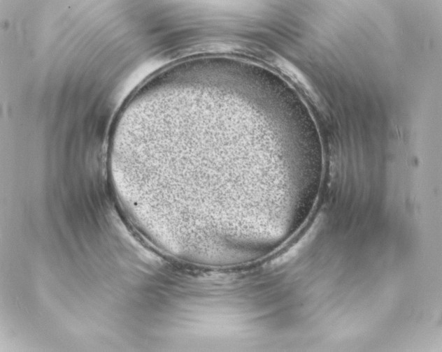 X0000088131178200705291325