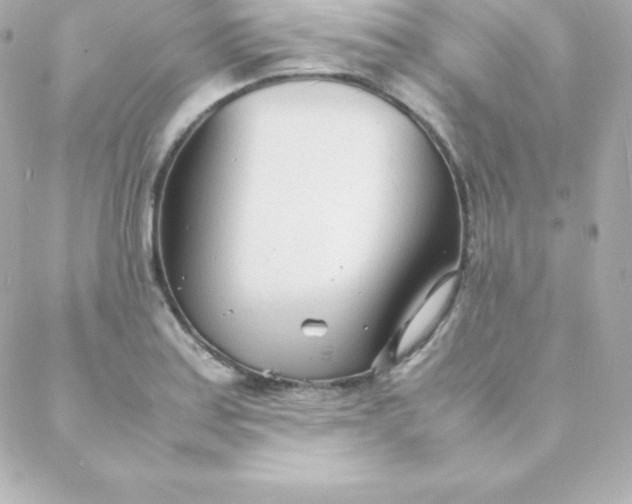 X0000088131179200705291325