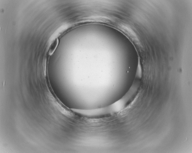 X0000088131180200705291325