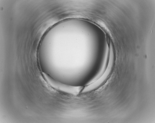 X0000088131181200705291325