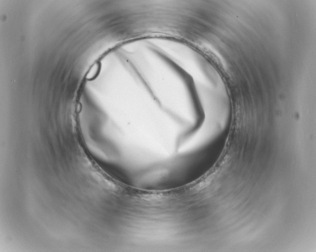 X0000088131182200705291325