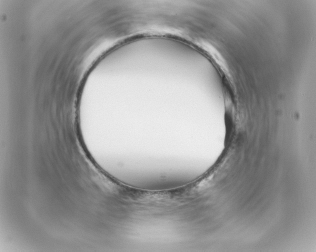 X0000088131183200705291325