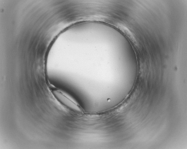 X0000088131184200705291325