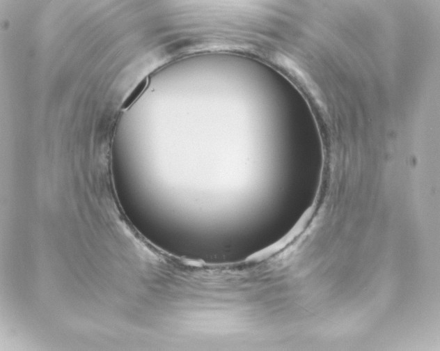 X0000088131185200705291325