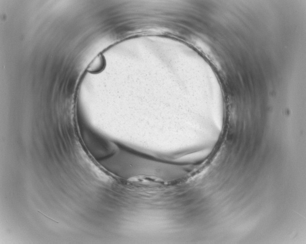 X0000088131186200705291325