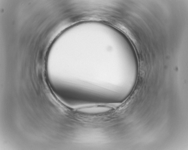 X0000088131187200705291325