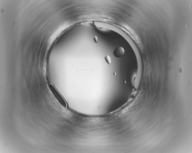 X0000088131188200705291325