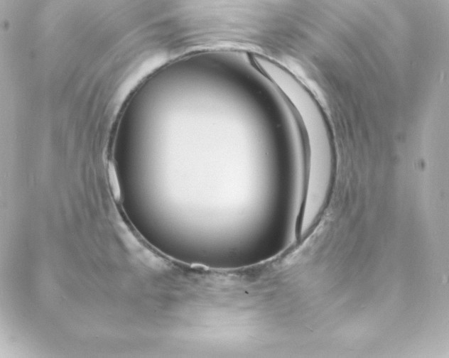 X0000088131189200705291325