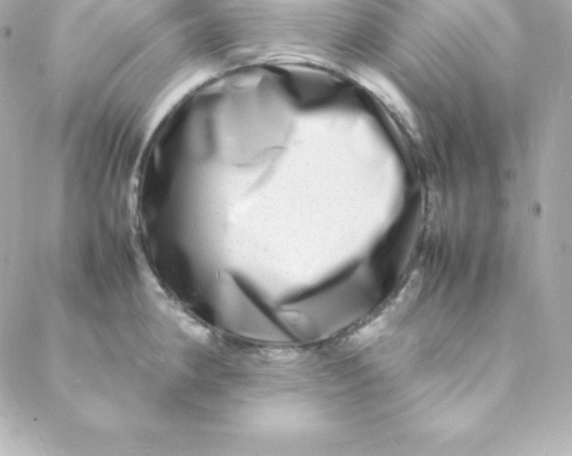 X0000088131190200705291325