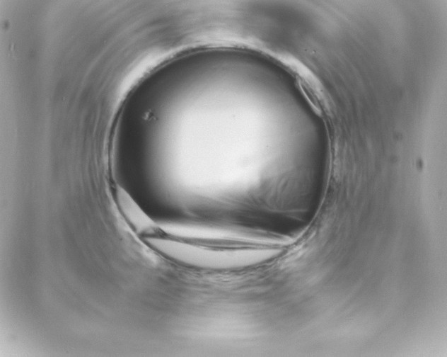 X0000088131191200705291325