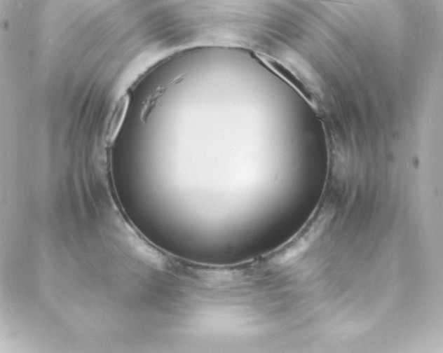 X0000088131192200705291325