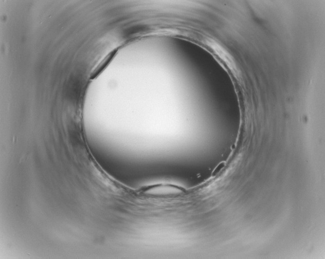 X0000088131193200705291325