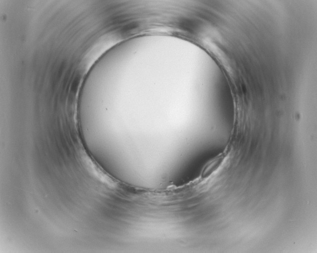 X0000088131194200705291325