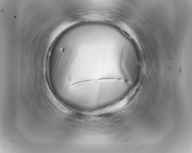 X0000088131195200705291325