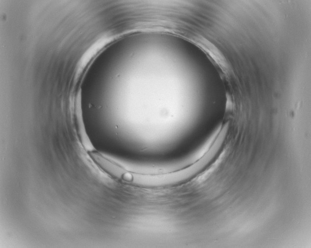 X0000088131196200705291325