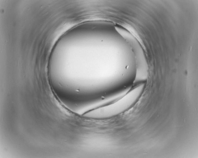 X0000088131197200705291325