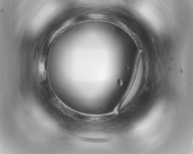 X0000088131198200705291325