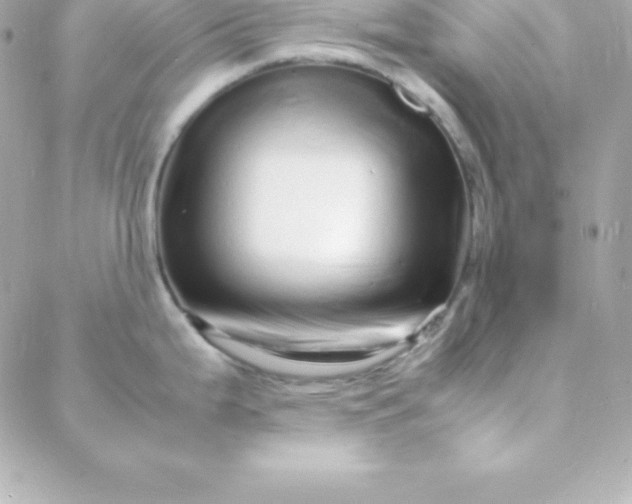 X0000088131199200705291325