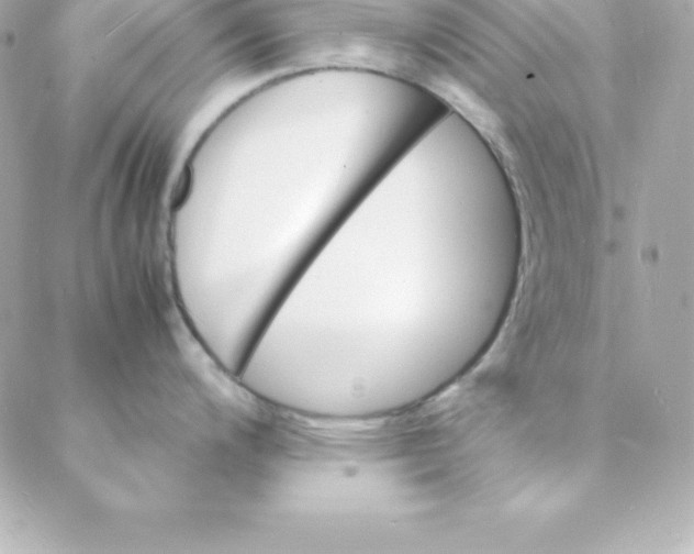 X0000088131200200705291325