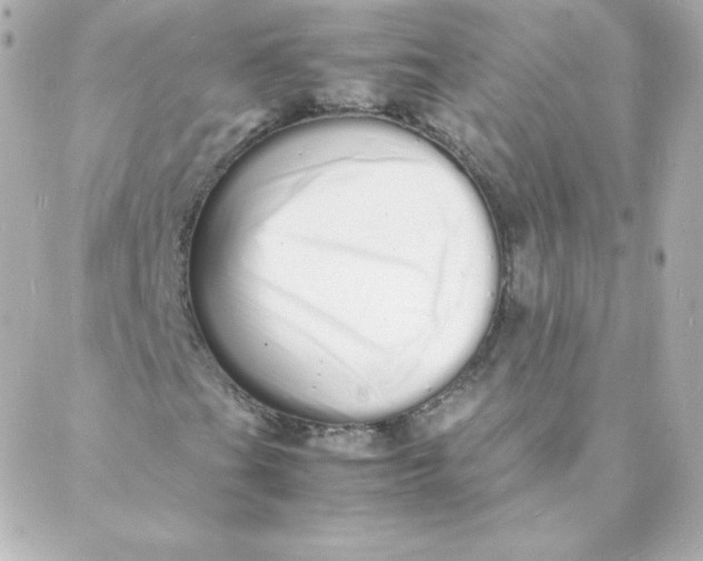 X0000088131201200705291324