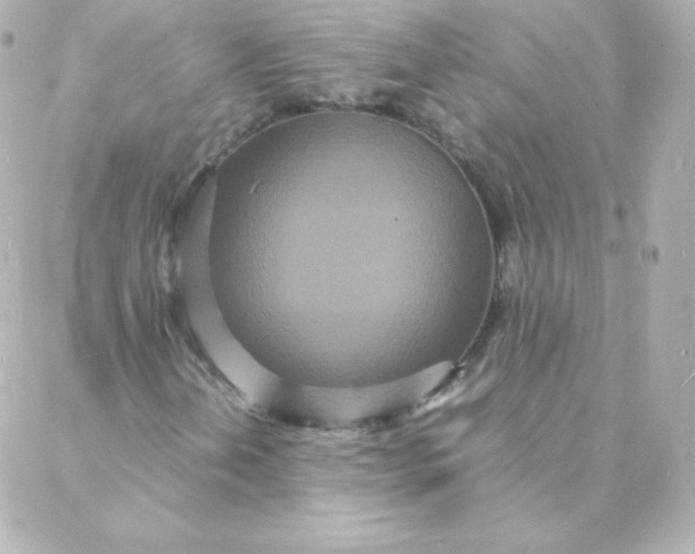 X0000088131202200705291324