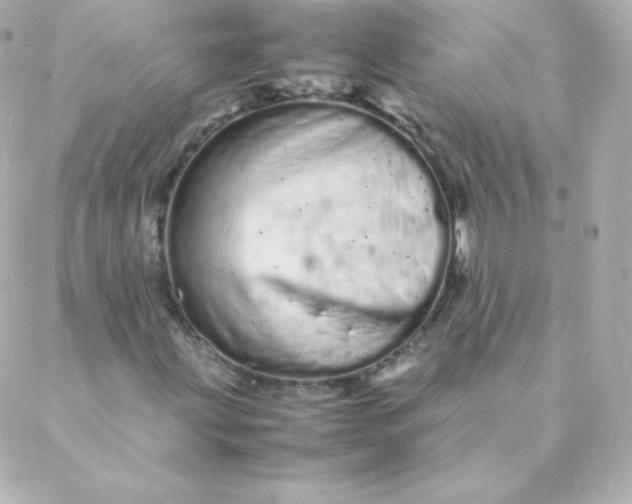 X0000088131203200705291324