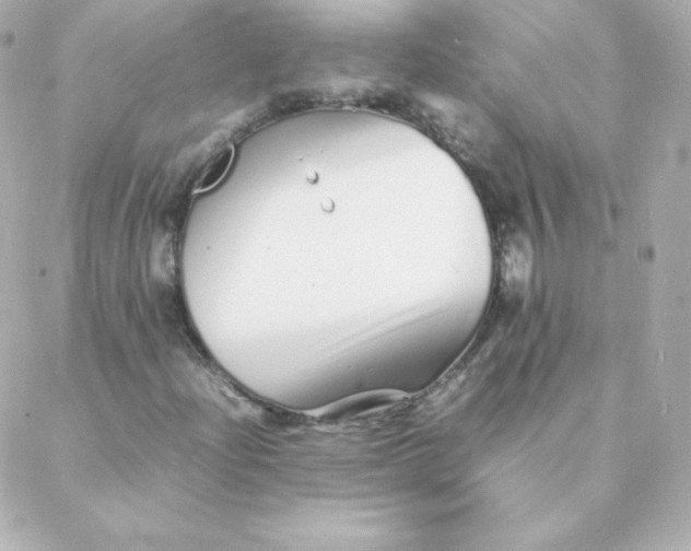 X0000088131204200705291324