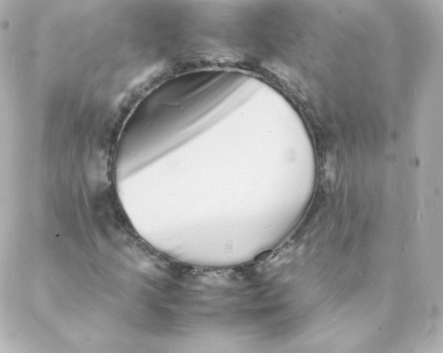 X0000088131205200705291324