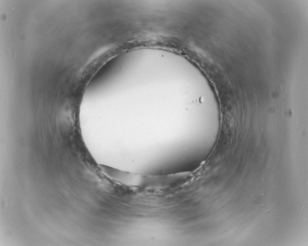 X0000088131206200705291324