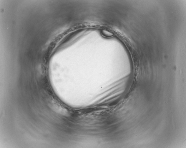 X0000088131207200705291324