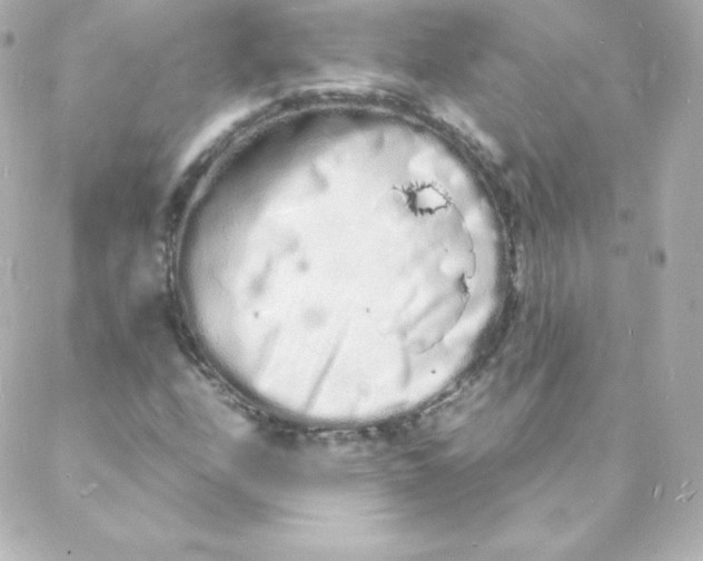 X0000088131208200705291324