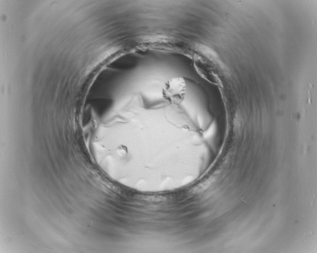 X0000088131209200705291324