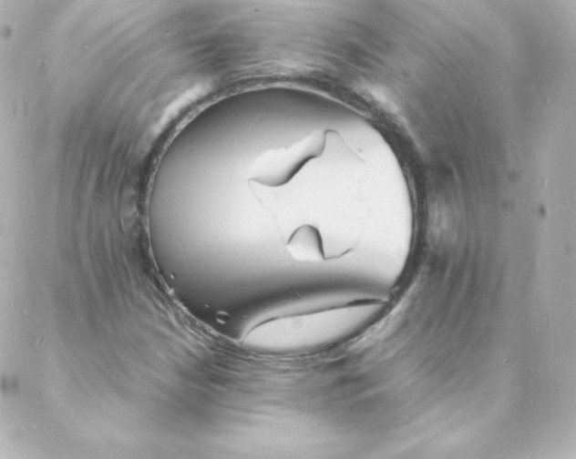 X0000088131210200705291324