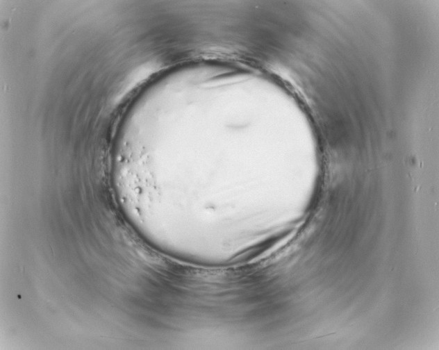 X0000088131211200705291324