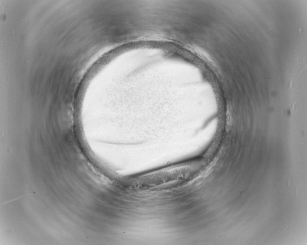 X0000088131212200705291324