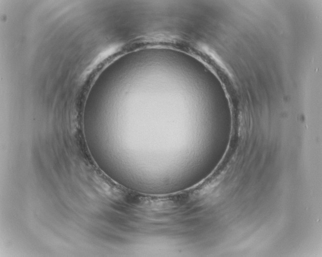 X0000088131213200705291324