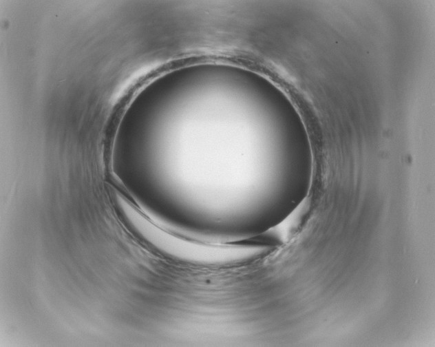 X0000088131214200705291324