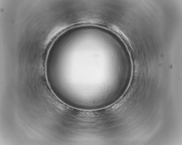 X0000088131215200705291324