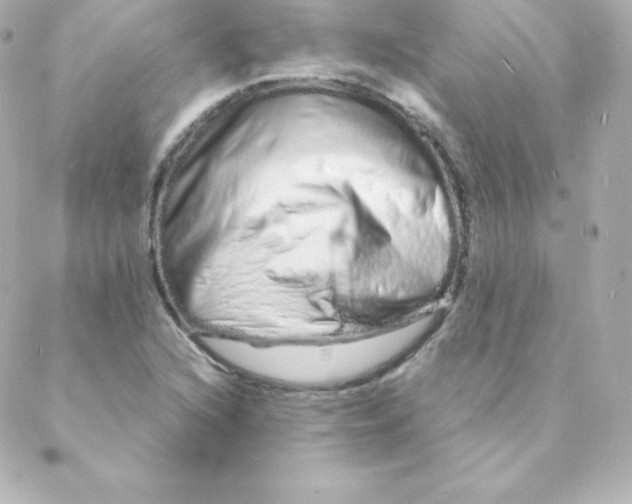 X0000088131216200705291324