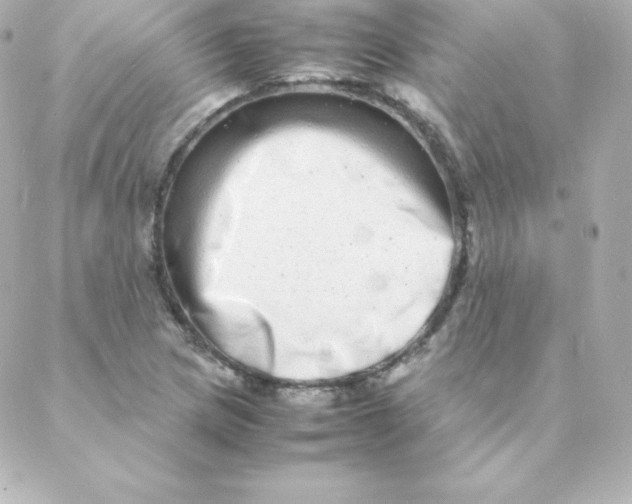 X0000088131217200705291324