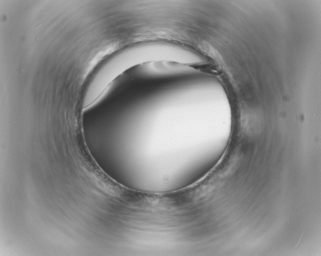 X0000088131218200705291324