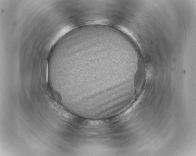 X0000088131219200705291324