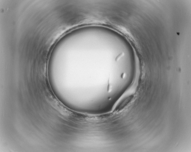 X0000088131220200705291324