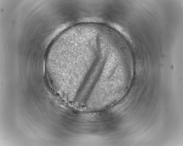 X0000088131221200705291324